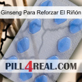 Ginseng Para Reforzar El Riñón 21